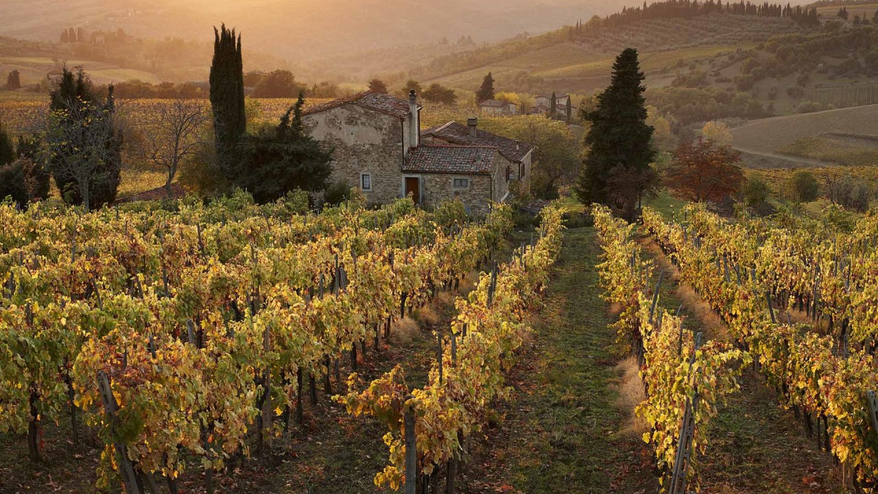 Farmhouse in  vineyard at sunset, Panzano, Chianti, Tuscany, Ita
